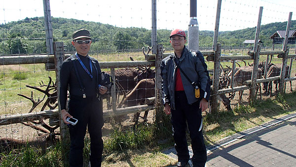 トナカイ牧場にて